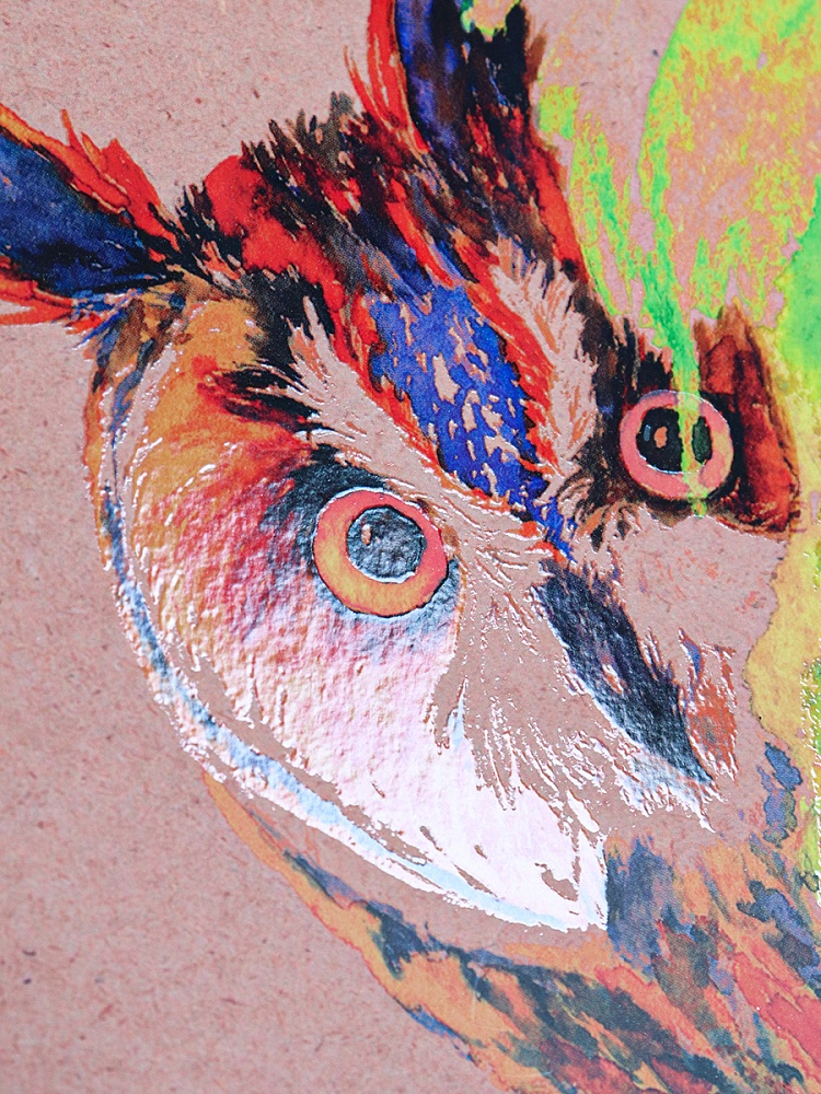 TM "FlyWay"Скетчноут 12л. ЛЮБОПЫТНАЯ СОВА-1 (12-7962) сшивка, 210г/м2, 50%хлопок, 4+4, 185х185