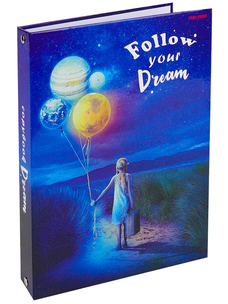 Тетрадь КЛЕТКА 100л. СЛЕДУЙ ЗА МЕЧТОЙ (100-1297) (на кольцах)