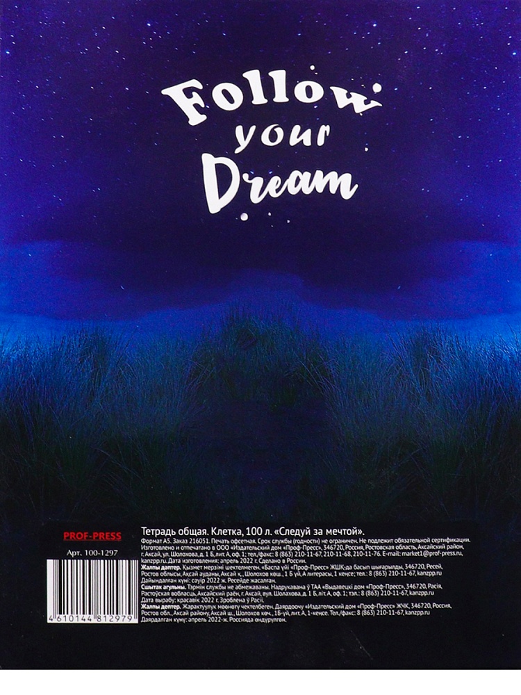 Тетрадь КЛЕТКА 100л. СЛЕДУЙ ЗА МЕЧТОЙ (100-1297) (на кольцах)