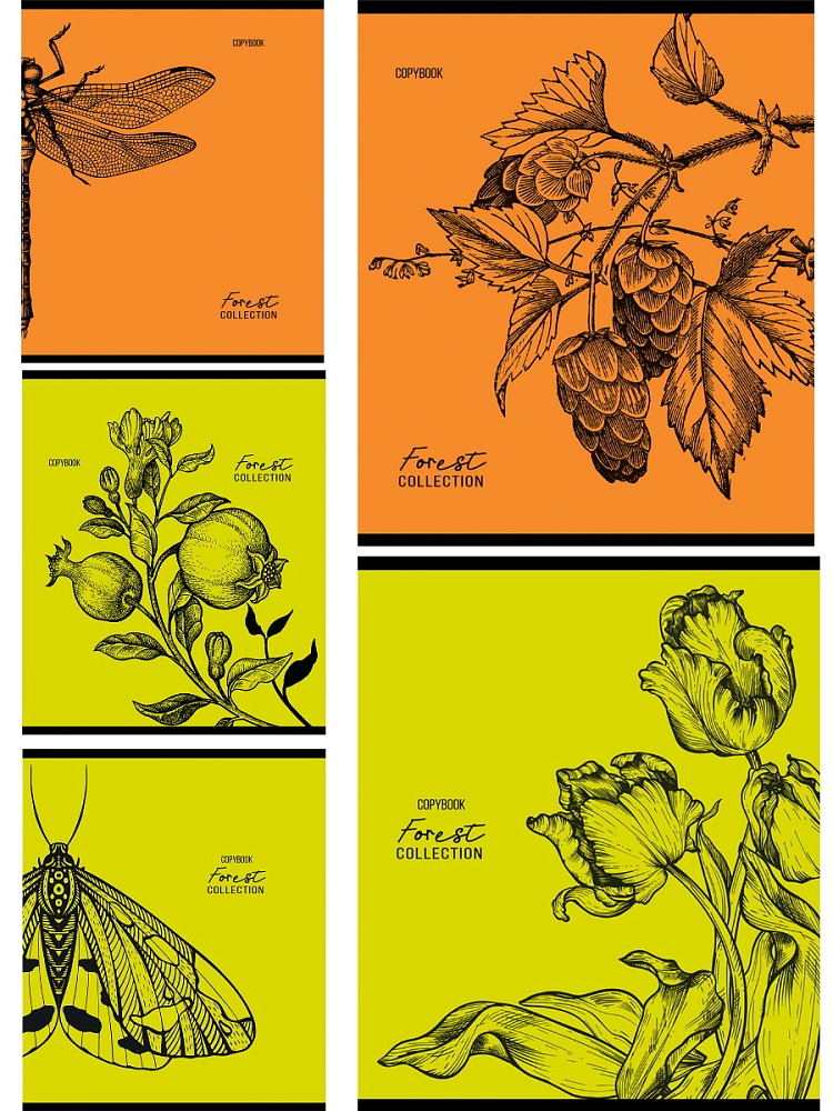 Тетрадь КЛЕТКА 96л. ЗАРИСОВКИ ПРИРОДЫ (96-9991) (цвет.мел.обл.),5 диз в сп, 6+0