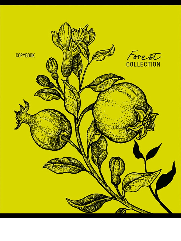 Тетрадь КЛЕТКА 96л. ЗАРИСОВКИ ПРИРОДЫ (96-9991) (цвет.мел.обл.),5 диз в сп, 6+0