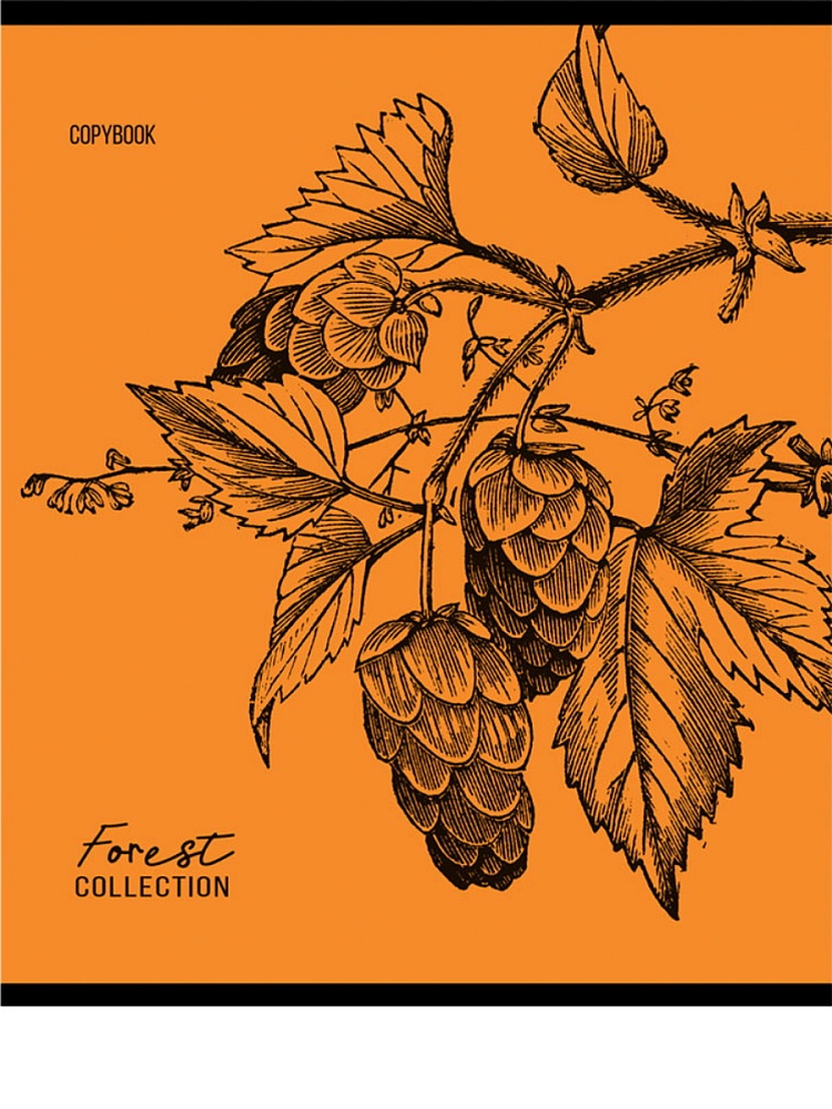 Тетрадь КЛЕТКА 96л. ЗАРИСОВКИ ПРИРОДЫ (96-9991) (цвет.мел.обл.),5 диз в сп, 6+0