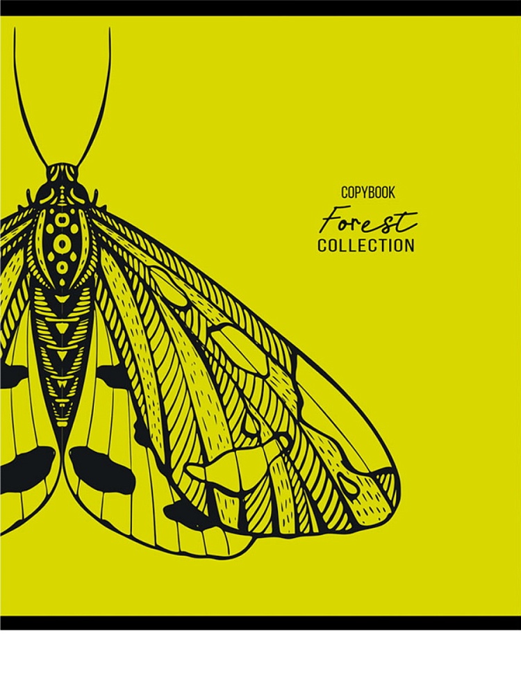 Тетрадь КЛЕТКА 96л. ЗАРИСОВКИ ПРИРОДЫ (96-9991) (цвет.мел.обл.),5 диз в сп, 6+0