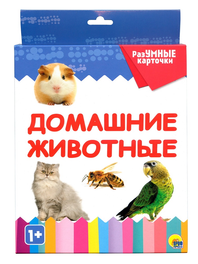 РАЗУМНЫЕ КАРТОЧКИ. ДОМАШНИЕ ЖИВОТНЫЕ