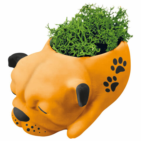 КАШПО ИЗ ГИПСА СО МХОМ, с красками и кистью для росписи, ассорти, BRAUBERG KIDS