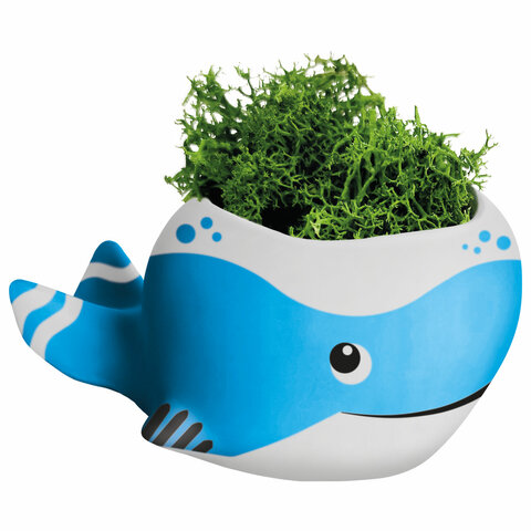 КАШПО ИЗ ГИПСА СО МХОМ, с красками и кистью для росписи, ассорти, BRAUBERG KIDS