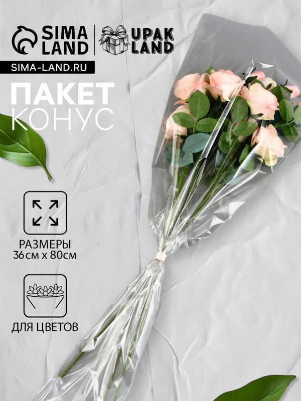 Пакет для цветов, конус, 15+36×80 см, прозрачный