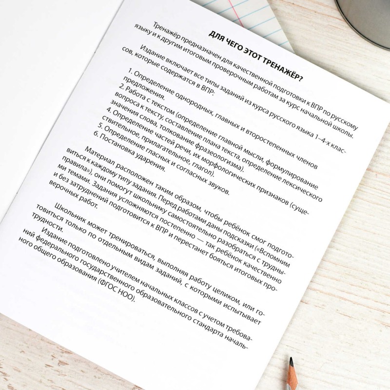 Книжка с заданиями для детей. Серия "Готовимся к ВПР" арт. 70109 РУССКИЙ ЯЗЫК /165×205 мм, 16 л., печать в одну краску, обл - мелованная бумага 170 г/
