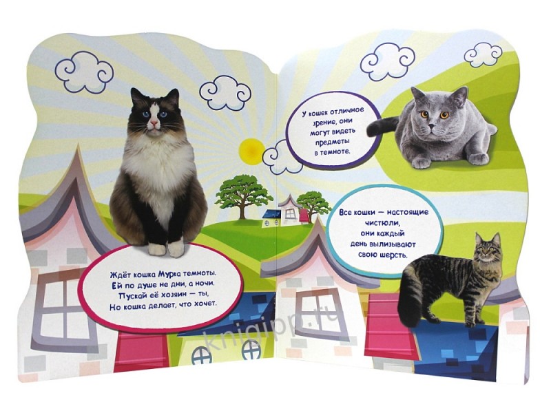 МИР ЖИВОТНЫХ. МОИ ПИТОМЦЫ