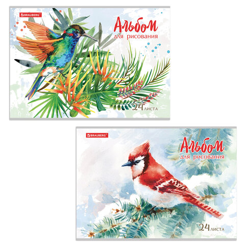 Альбом для рисования А4 24 л., скоба, обложка картон, BRAUBERG, 202х285 мм, "Райские птички" (2 вида)