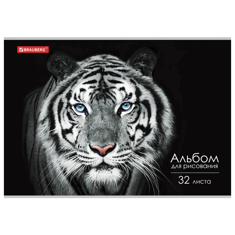 Альбом для рисования А4 32 л., скоба, обложка картон, BRAUBERG, 202х285 мм, "Тигр"