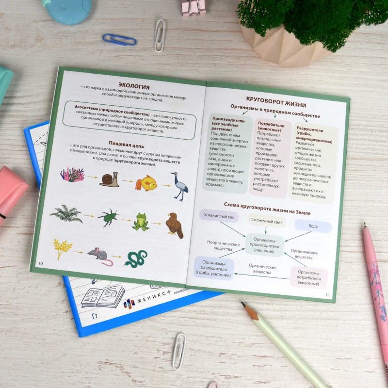 Справочное издание для детей. Серия "Шпаргалки отличника. Готовимся к ВПР арт. 65792 ОКРУЖАЮЩИЙ МИР /120х170 мм, 16 л., блок - офсет 100 г/м2, полноцв