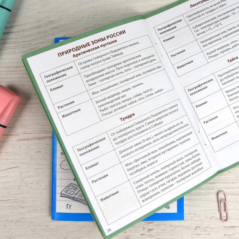 Справочное издание для детей. Серия "Шпаргалки отличника. Готовимся к ВПР арт. 65792 ОКРУЖАЮЩИЙ МИР /120х170 мм, 16 л., блок - офсет 100 г/м2, полноцв