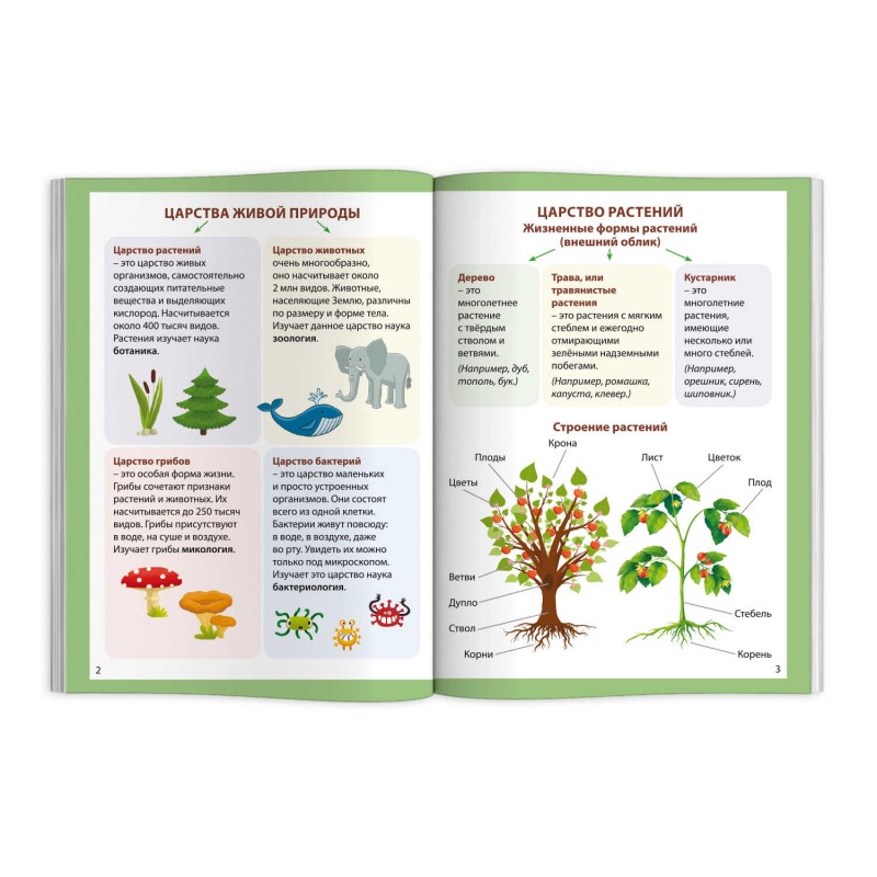 Справочное издание для детей. Серия "Шпаргалки отличника. Готовимся к ВПР арт. 65792 ОКРУЖАЮЩИЙ МИР /120х170 мм, 16 л., блок - офсет 100 г/м2, полноцв
