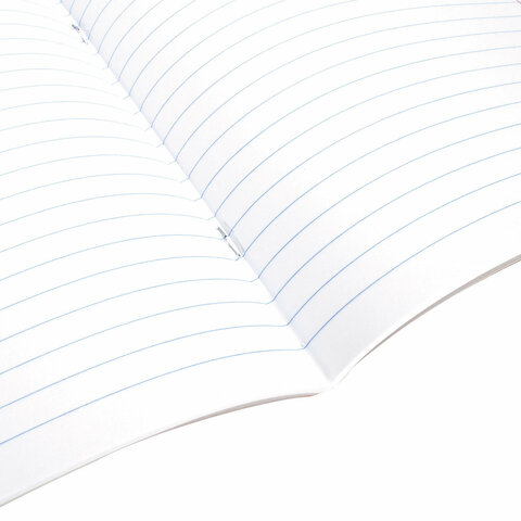 Тетрадь 24 л. BRAUBERG линия, обложка картон, "ЯРКИЙ МИКС"