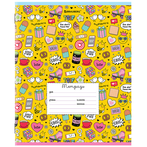 Тетрадь 24 л. BRAUBERG линия, обложка картон, "ЯРКИЙ МИКС"