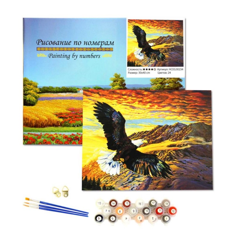 Рисование по номерам 30*40 (подрамник) HCEG30234 Орел уп1/30шт