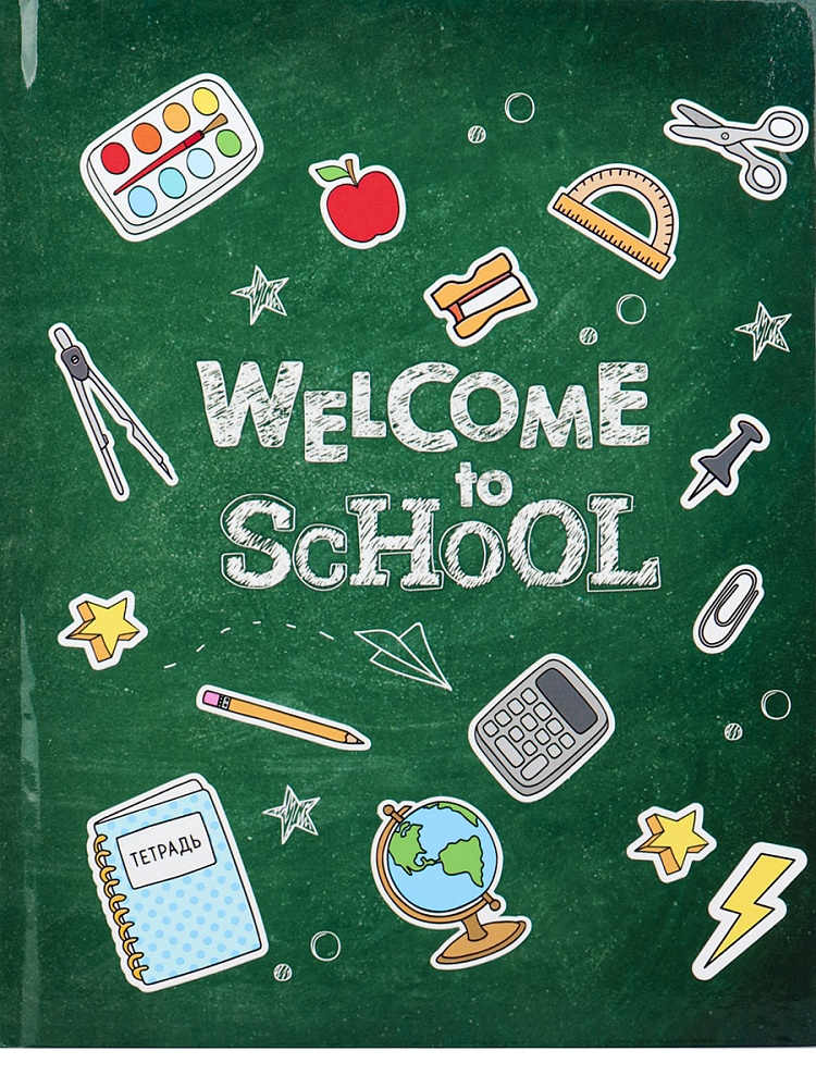 Дневник тв обл 1-4кл, глянц/лам, 48л, Calligrata "Снова в школу" 4698380