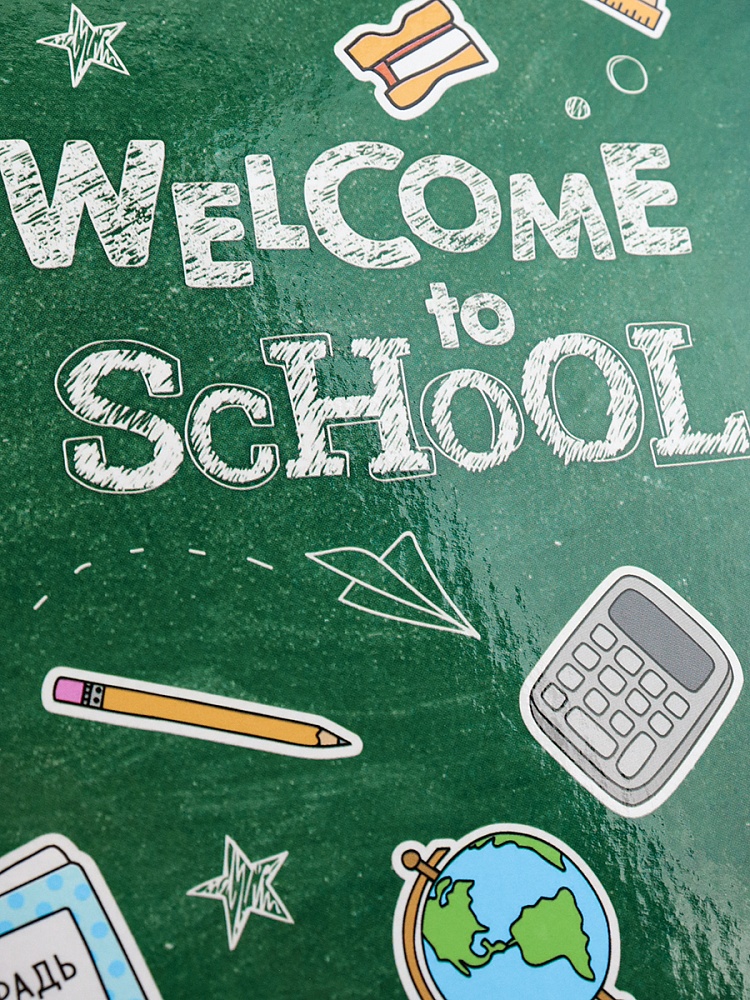 Дневник тв обл 1-4кл, глянц/лам, 48л, Calligrata "Снова в школу" 4698380