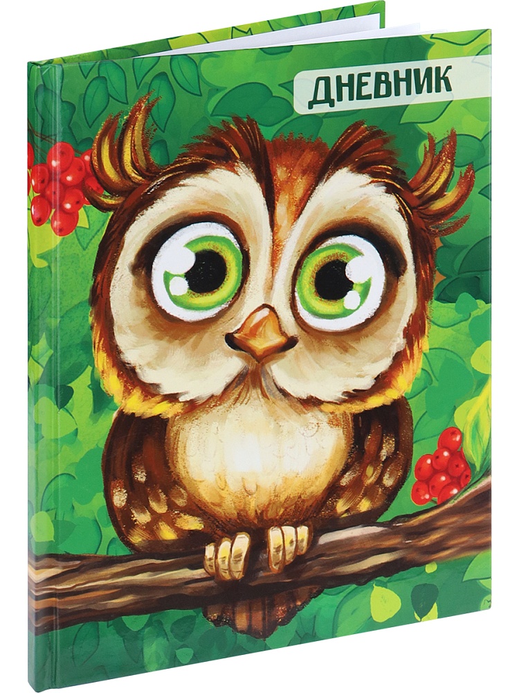 Дневник тв обл 1-4кл, глянц/лам, 48л, Calligrata "Сова" 4167739