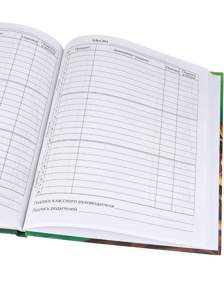 Дневник тв обл 1-4кл, глянц/лам, 48л, Calligrata "Сова" 4167739