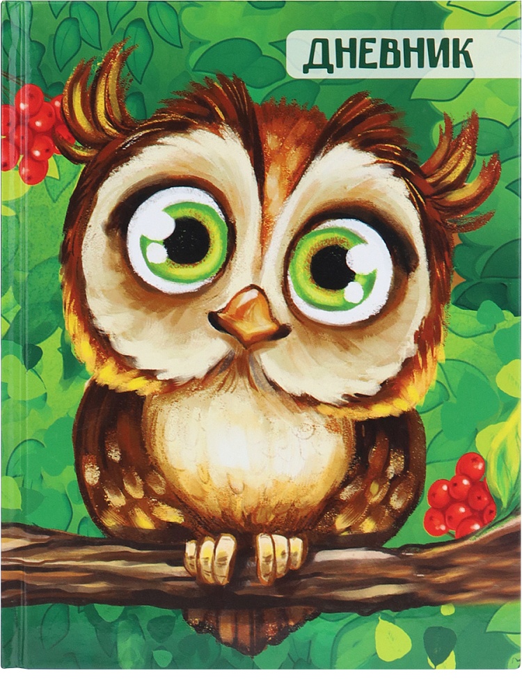 Дневник тв обл 1-4кл, глянц/лам, 48л, Calligrata "Сова" 4167739