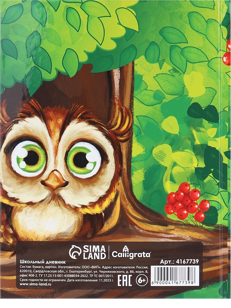 Дневник тв обл 1-4кл, глянц/лам, 48л, Calligrata "Сова" 4167739