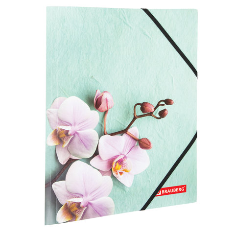 Папка на резинках BRAUBERG "FLOWER", А4, цветная печать, до 300 листов, 500 мкм