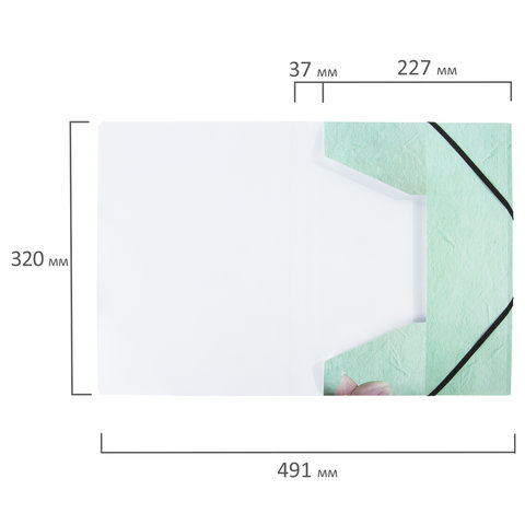 Папка на резинках BRAUBERG "FLOWER", А4, цветная печать, до 300 листов, 500 мкм