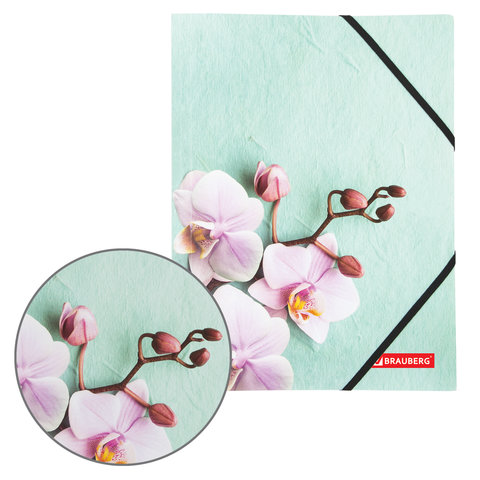 Папка на резинках BRAUBERG "FLOWER", А4, цветная печать, до 300 листов, 500 мкм