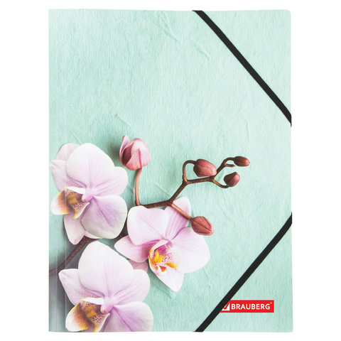 Папка на резинках BRAUBERG "FLOWER", А4, цветная печать, до 300 листов, 500 мкм