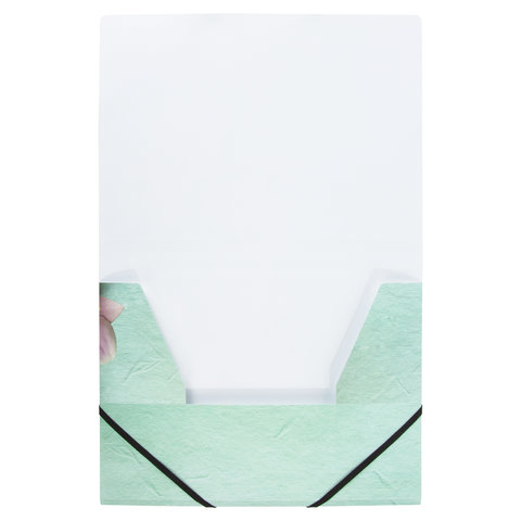 Папка на резинках BRAUBERG "FLOWER", А4, цветная печать, до 300 листов, 500 мкм