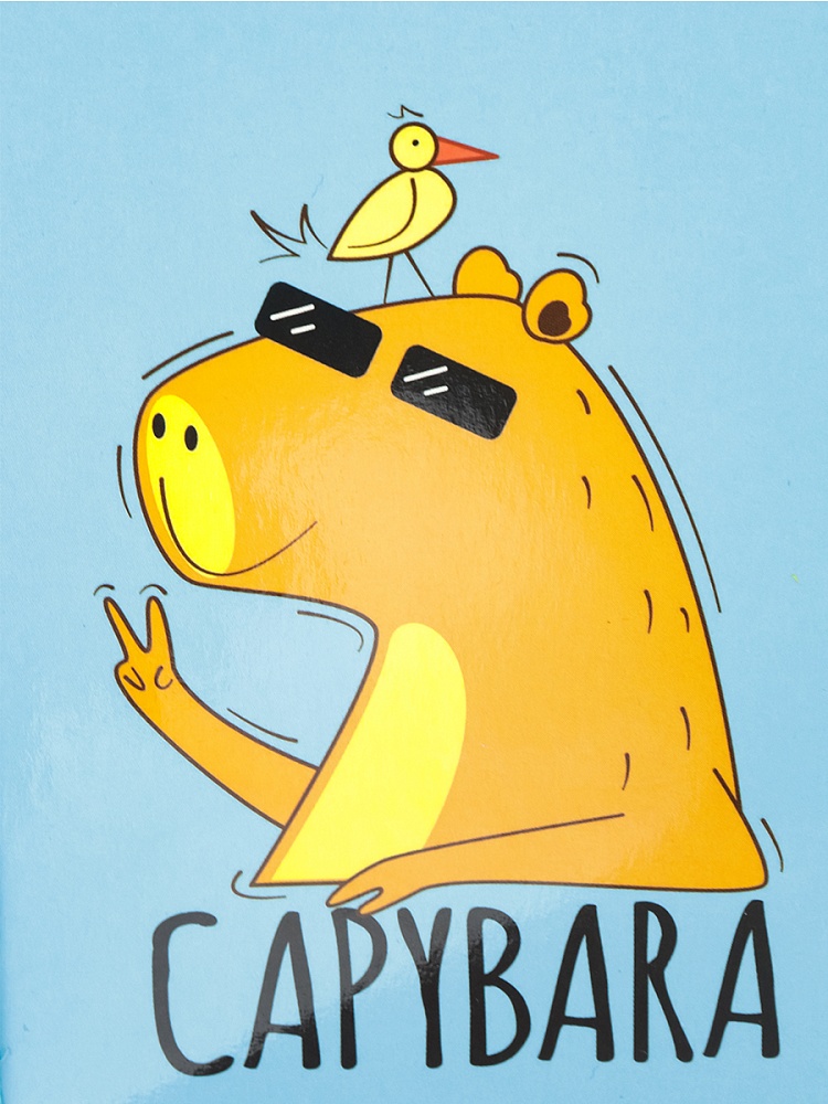 Пенал 3-секц, большой КАПИБАРА В ОЧКАХ (ПН-2050) (190х115) ламинированный картон