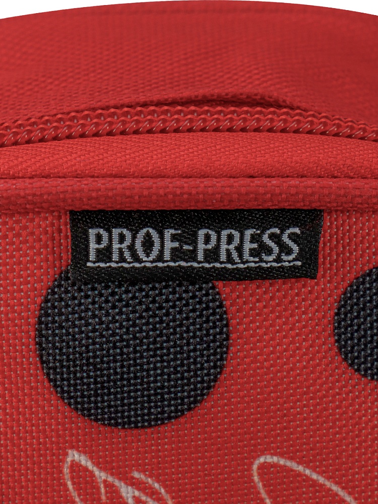 Пенал с прозр окошком МИЛЫЕ БУКАШКИ (ПН-2101) 20x9.5x5.5 см