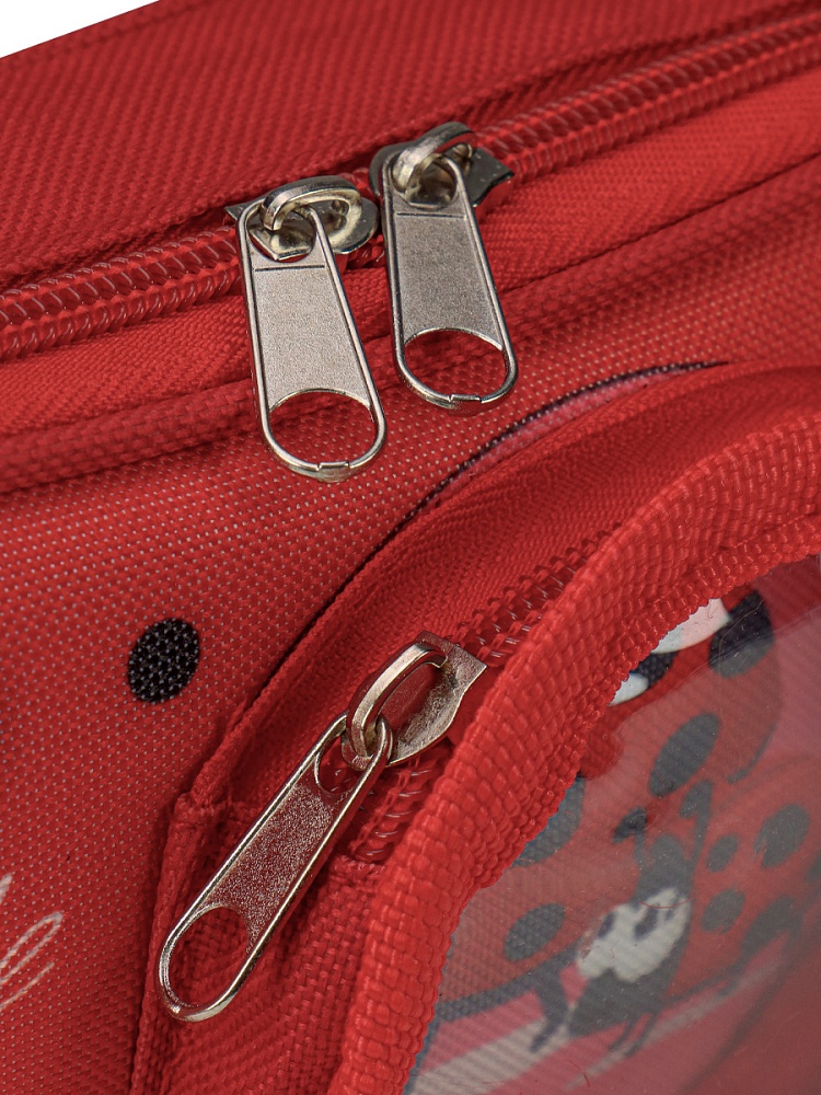 Пенал с прозр окошком МИЛЫЕ БУКАШКИ (ПН-2101) 20x9.5x5.5 см