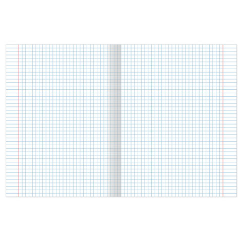 Тетрадь 24 л. BRAUBERG, клетка, обложка картон, ПОЛОСКИ