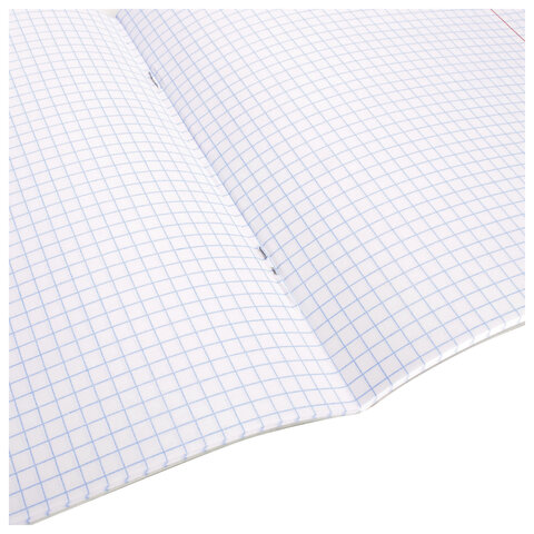 Тетрадь 24 л. BRAUBERG, клетка, обложка картон, ПОЛОСКИ