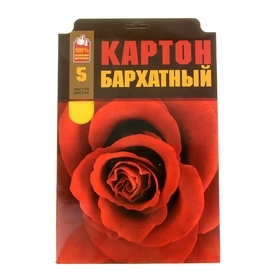 Картон цветной бархатный А4, 5 листов, 5 цветов "Роза", сплошной УФ-лак