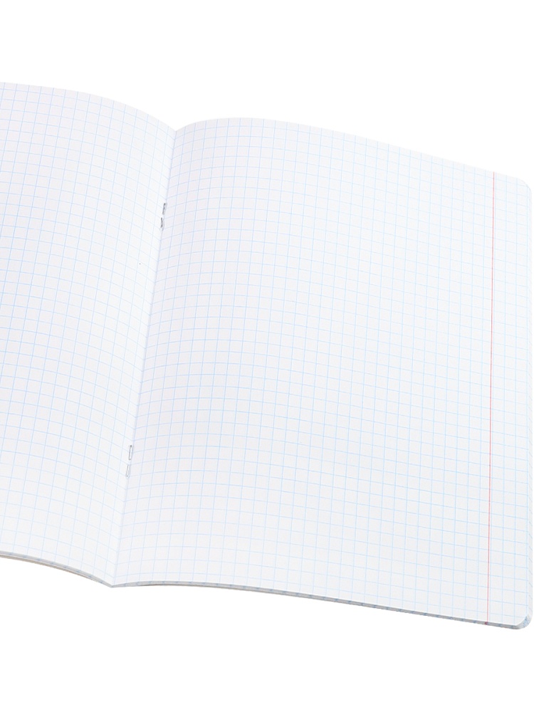 Тетрадь КЛЕТКА 48л. МИКС КИСЛОТНЫХ ОТТЕНКОВ (48-2421) твин-лак, цвет.мелов.обл., 5 диз в спайке