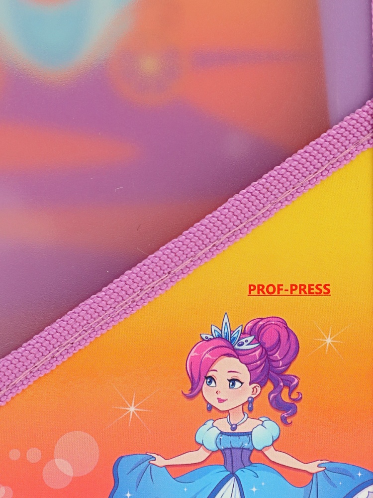 Папка для труда на молнии сверху, с двумя отдел. ГРАЦИОЗНАЯ ПРИНЦЕССА - 1 (ПТР-9631) пластик