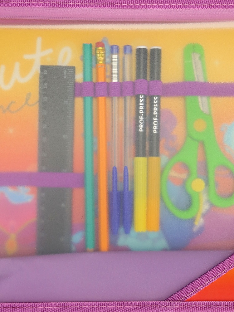 Папка для труда на молнии сверху, с двумя отдел. ГРАЦИОЗНАЯ ПРИНЦЕССА - 1 (ПТР-9631) пластик