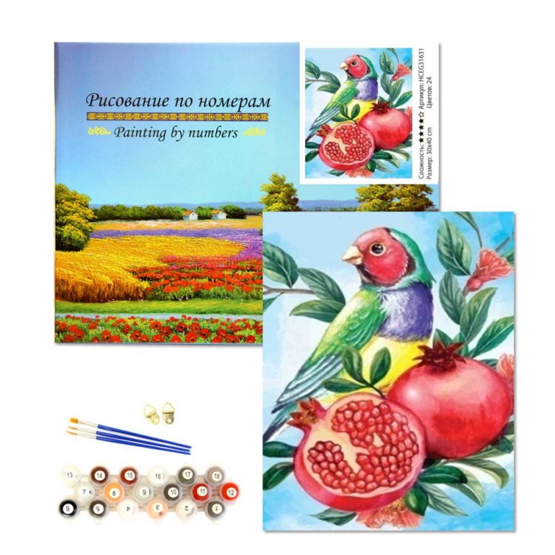 Рисование по номерам 30*40 (подрамник) HCEG31631 Попугай, гранат уп1