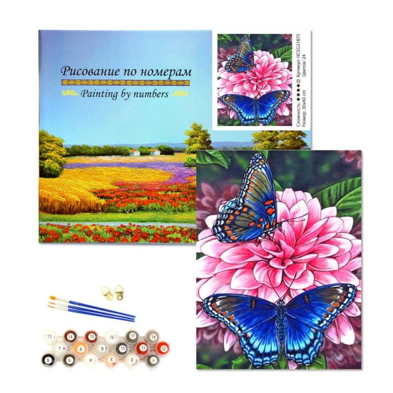Рисование по номерам 30*40 (подрамник) HCEG31875 Бабочки уп1/30шт