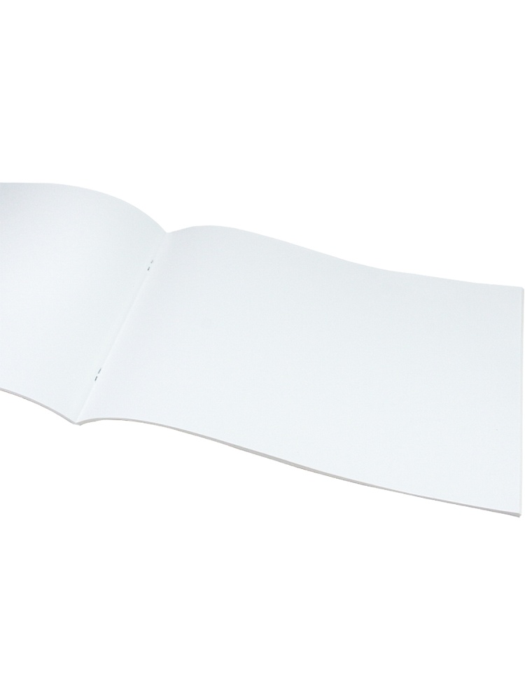 Альбом для рисования А4 40л. ГРАФИЧЕСКИЕ ЦВЕТЫ (40-4926) скрепка, 2 диз. в спайке