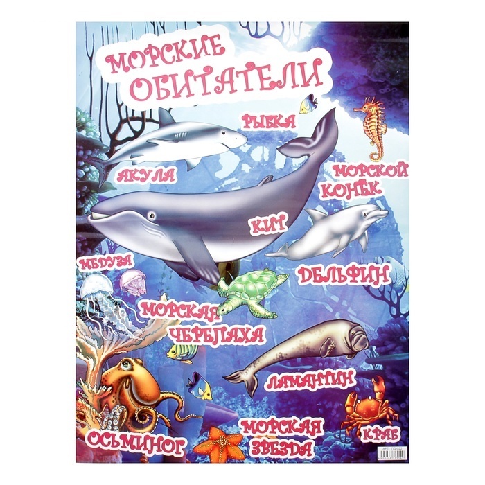 Плакат Морские обитатели 43*60