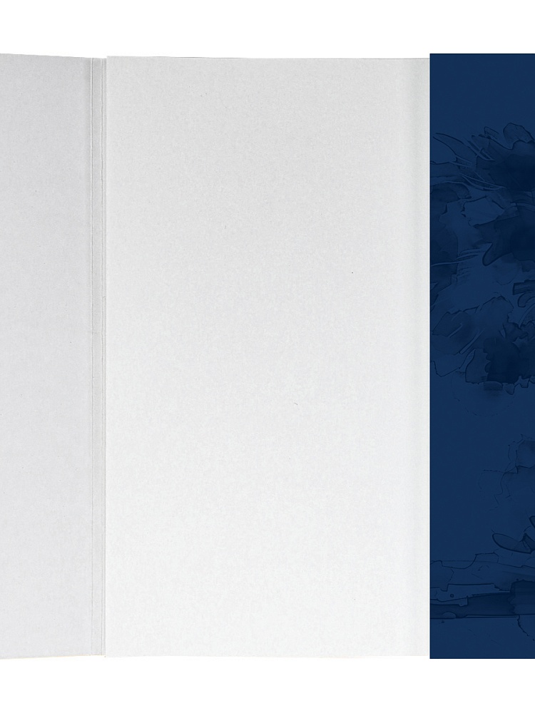 Папка ДЛЯ АКВАРЕЛИ А3 РАЗНООБРАЗНАЯ АКВАРЕЛЬ - 1 (20-2243) цветная обл., 20л. 200г/м2