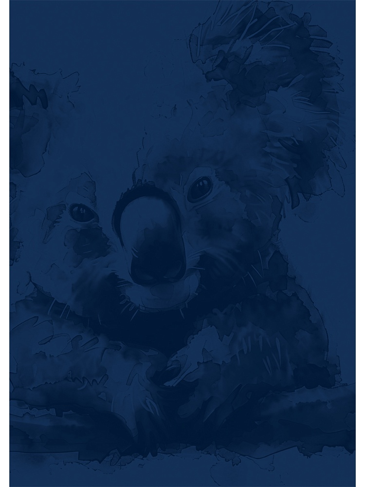 Папка ДЛЯ АКВАРЕЛИ А3 РАЗНООБРАЗНАЯ АКВАРЕЛЬ - 1 (20-2243) цветная обл., 20л. 200г/м2