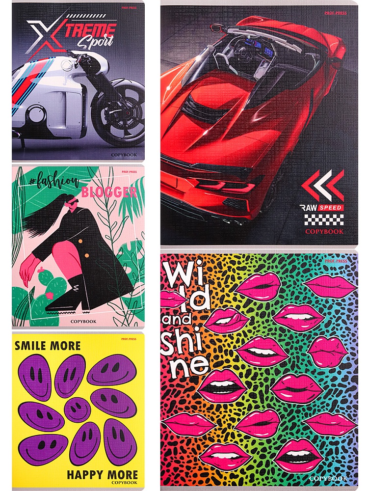 Тетрадь КЛЕТКА 48л. МИКС-3018 (48-3018) цветная мелованная обложка