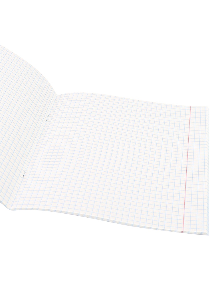 Тетрадь КЛЕТКА 48л. МИКС-3018 (48-3018) цветная мелованная обложка