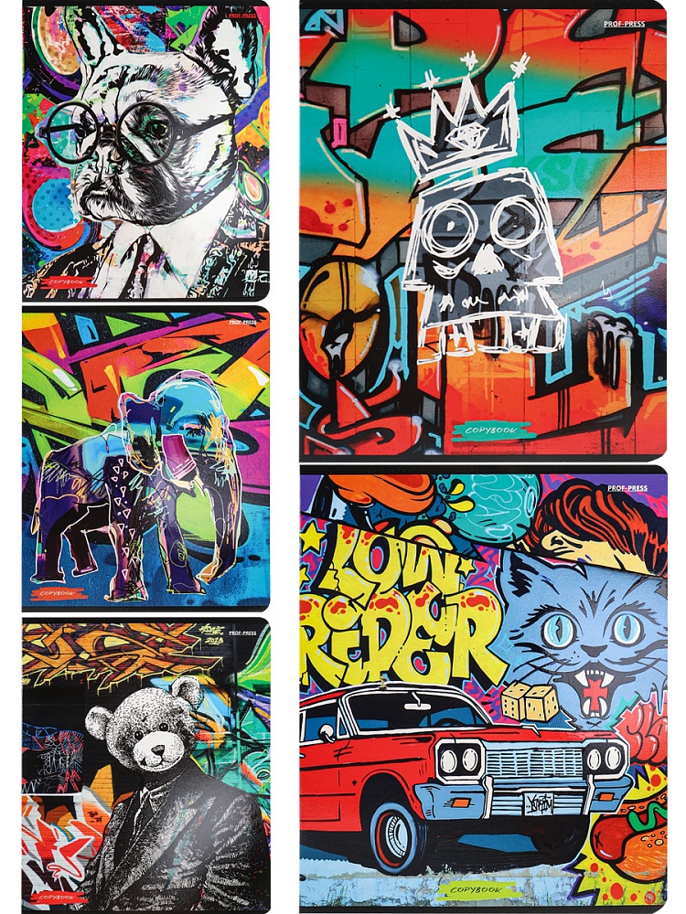 Тетрадь КЛЕТКА 48л. МОЛОДЁЖНЫЕ ДИЗАЙНЫ (48-2417) твин-лак, цвет.мелов.обл., 5 диз в спайке